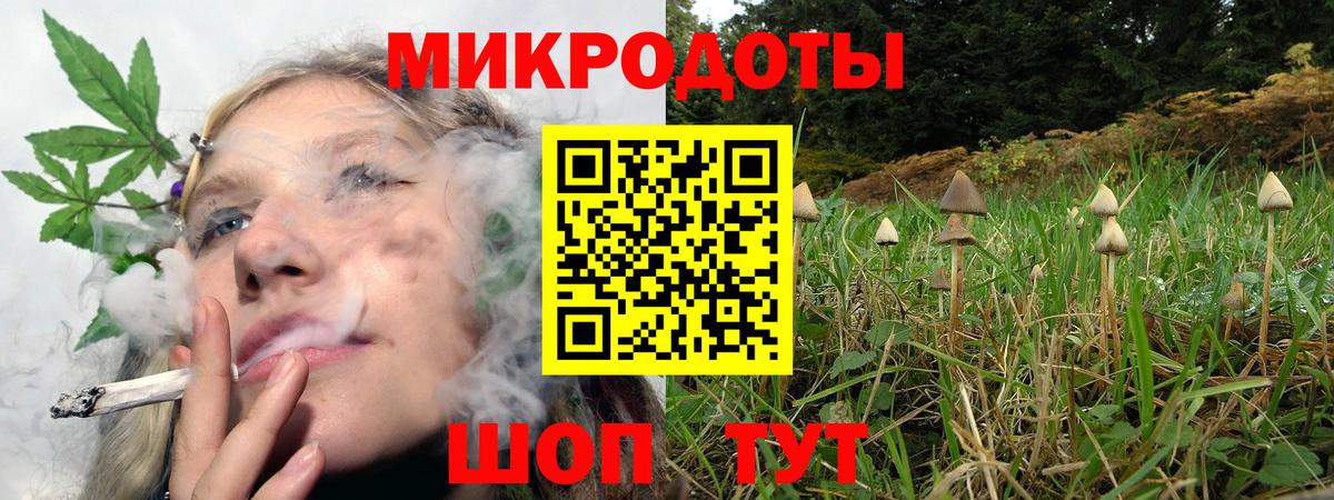 Псилоцибиновые грибы Psilocybe  Вход с VPN  Ипатово  Галлюциногенные грибы GOLDEN TEACHER 
